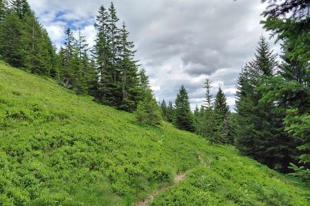 20260705_133911.jpg